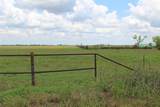 160 acres TBD County Road 428 - Photo 15