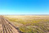 160 acres TBD County Road 428 - Photo 6