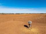 TBD County Road 260 - Photo 17