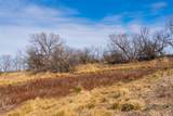 TBD County Road 260 - Photo 25