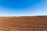 TBD County Road 260 - Photo 26