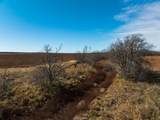TBD County Road 260 - Photo 8