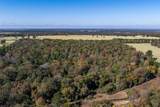 13793 An County Road 404 - Photo 13