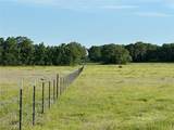TBD County Road 1895 - Photo 14