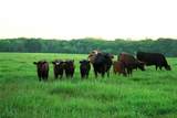 58+ ac. Cr 102 Road - Photo 31