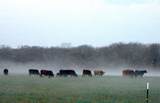 58+ ac. Cr 102 Road - Photo 33