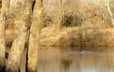 58+ ac. Cr 102 Road - Photo 34