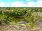 58+ ac. Cr 102 Road - Photo 38