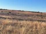 565 Fm 1241 - Photo 4