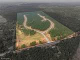 223 Millwood Loop - Photo 3