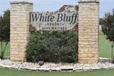 1004 White Bluff Drive - Photo 1
