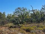 TBD 140.60 Acres - Photo 12