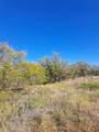 TBD 140.60 Acres - Photo 6