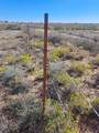 TBD 140.60 Acres - Photo 8