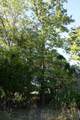 1688 Doc Holiday Dr - Photo 13