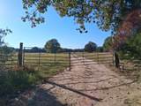 1071 County Road 2205 - Photo 9