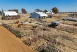 945 Quarter Horse Lane - Photo 38