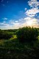 Lot 42 Royal Aberdeen Court - Photo 7