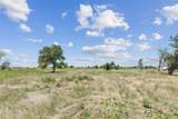 402 Sunflower Drive - Photo 10