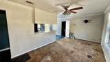 113 Adolphus Avenue - Photo 3