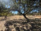 7511 Seagull Drive - Photo 8