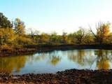 TBD County Road 131 - Photo 1
