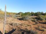 TBD County Road 131 - Photo 11