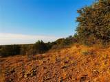 TBD County Road 131 - Photo 4