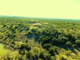 Tract 4 County Road 131 - Photo 17
