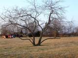 TBD Cr-122 - Photo 19