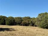 TBD Big Tree Road - Photo 1