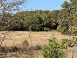 TBD Big Tree Road - Photo 10