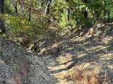 TBD Big Tree Road - Photo 15