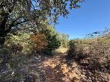 TBD Big Tree Road - Photo 16