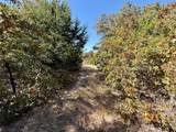 TBD Big Tree Road - Photo 18