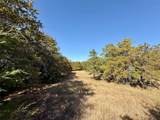 TBD Big Tree Road - Photo 19