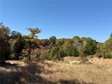 TBD Big Tree Road - Photo 21