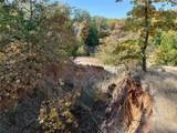 TBD Big Tree Road - Photo 22