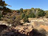 TBD Big Tree Road - Photo 23