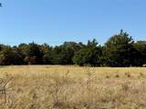 TBD Big Tree Road - Photo 6