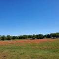TBD County Road 1480 - Photo 6