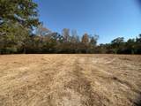 12047 County Road 414 - Photo 17