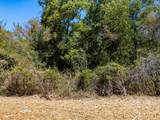 12047 County Road 414 - Photo 18