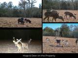 12047 County Road 414 - Photo 26