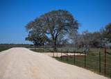 316 Main Loop Loop - Photo 3