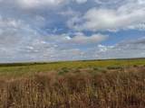 TBD Fm 57, 160 Acres - Photo 11