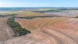 TBD Fm 57, 160 Acres - Photo 16