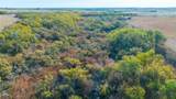 TBD Fm 57, 160 Acres - Photo 26