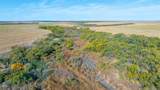 TBD Fm 57, 160 Acres - Photo 28