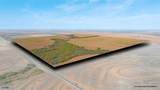 TBD Fm 57, 160 Acres - Photo 5